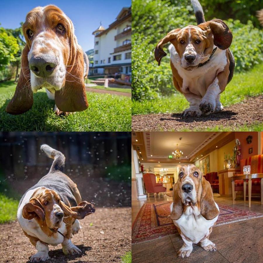 Hotel Magdalena Im Zillertal - Urlaub Mit Hund Ried im Zillertal Εξωτερικό φωτογραφία